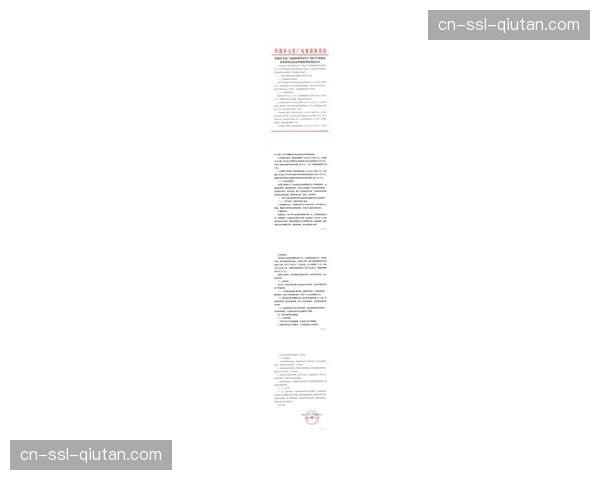 “英超‘足球基金会’资助项目报告，2025年基层足球设施建设数量同比增12%”